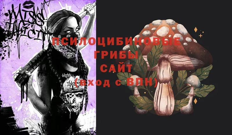 что такое   Ялта  Псилоцибиновые грибы MAGIC MUSHROOMS 